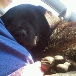 Meet your Posher, Jason